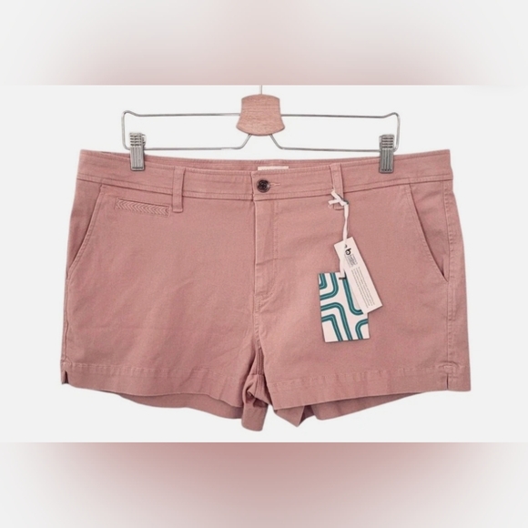 Market & Spruce Pants - NWT MARKET & SPRUCE Ash Rose Madison Chino Shorts (Size: 12)